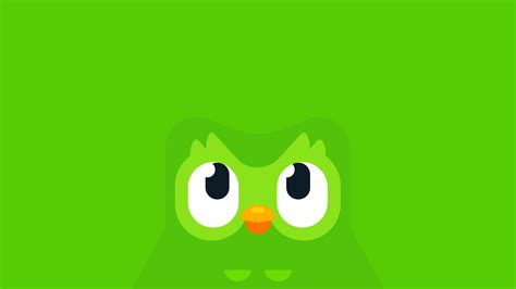 See wallpapers for you, bored badge colors, Duolingo crochet, and more. . Duolingo wallpaper